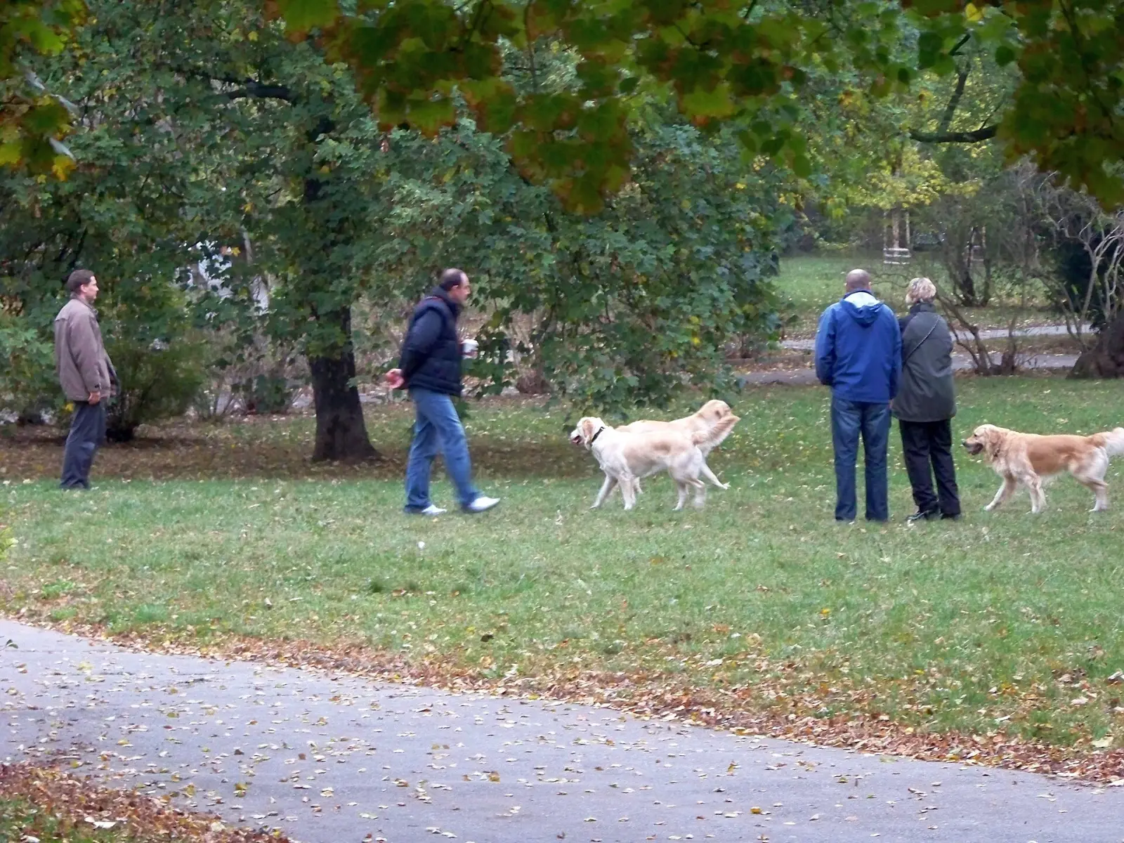 Hund in Tschechien — sehr hundefreundliches Land.
