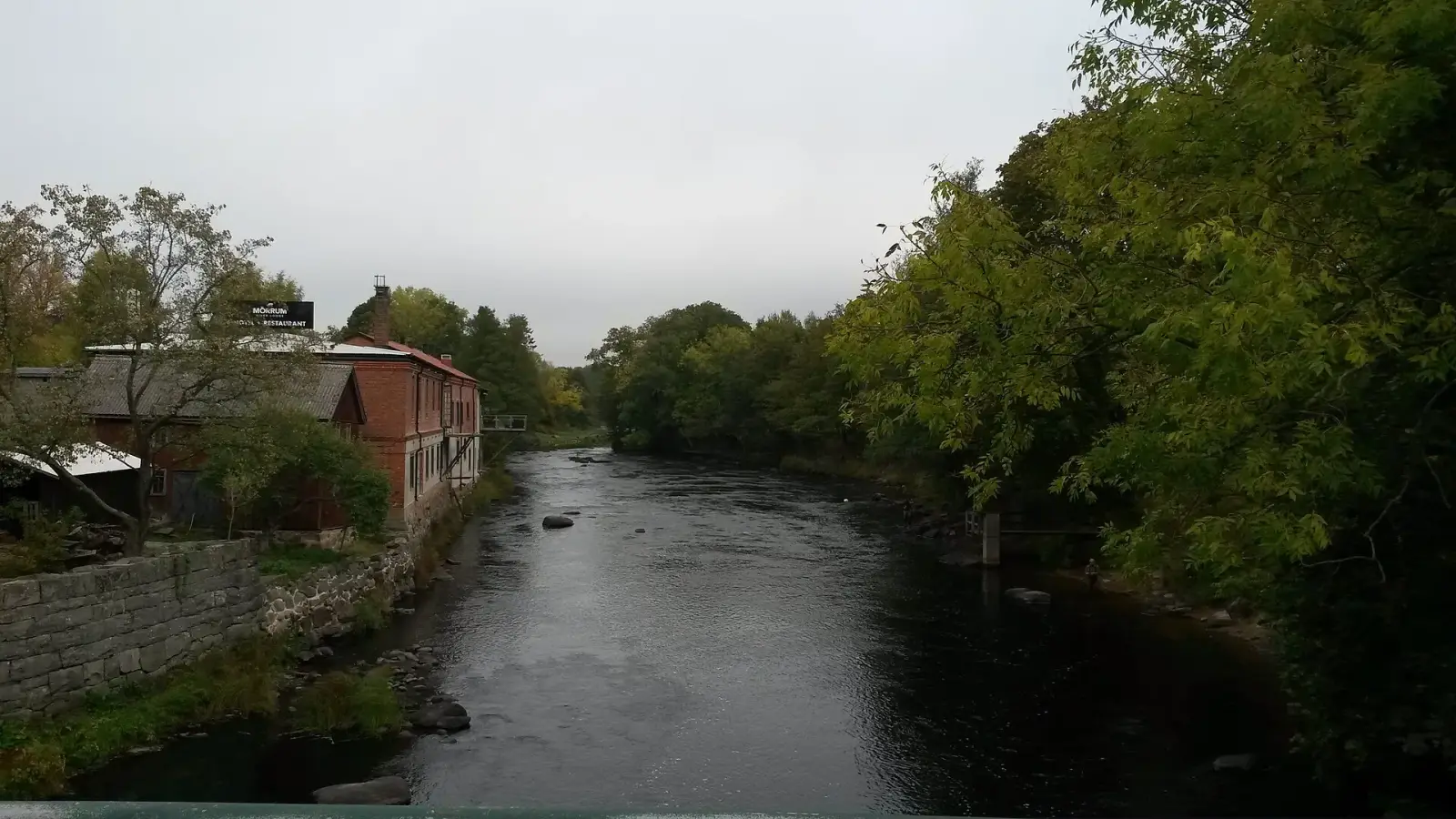 Der Fluss Mörrumsån in Schweden, bekannt für Lachs- und Meerforellenangeln.