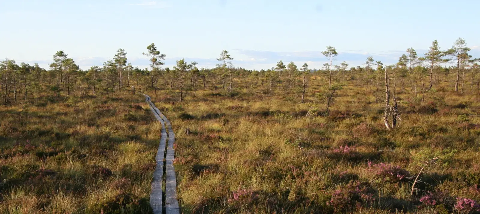 Weite Hochebene Hardangervidda in Norwegen.